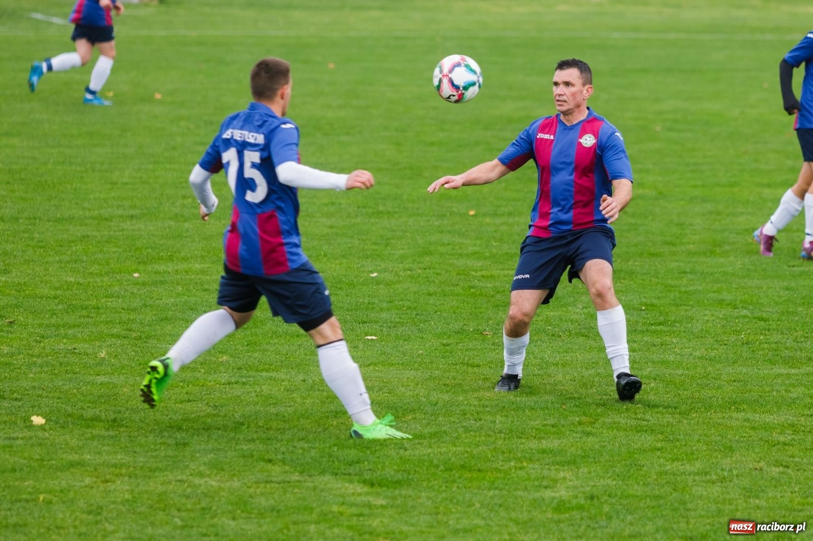Zdjęcie w galerii na portalu naszraciborz.pl: Bez niespodzianki w Pietraszynie. Kobyla na kolanach [FOTO] wiadomości z regionu