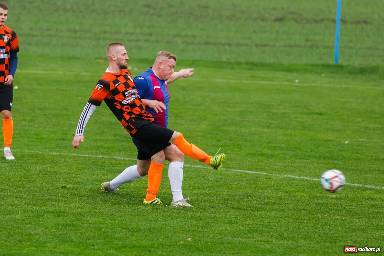 Zdjęcie w galerii na portalu naszraciborz.pl: Bez niespodzianki w Pietraszynie. Kobyla na kolanach [FOTO] wiadomości z regionu
