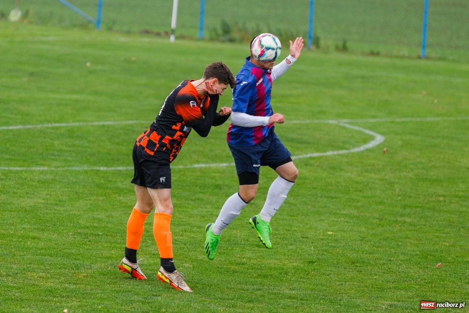 Zdjęcie w galerii na portalu naszraciborz.pl: Bez niespodzianki w Pietraszynie. Kobyla na kolanach [FOTO] wiadomości z regionu