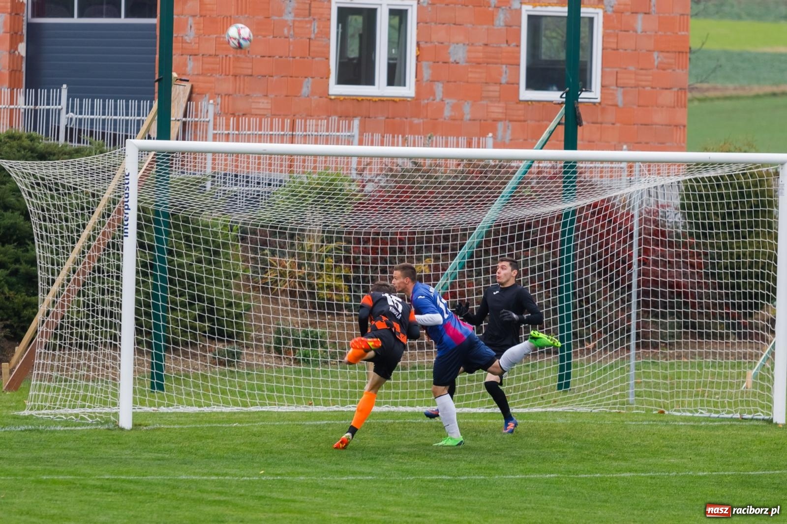 Zdjęcie w galerii na portalu naszraciborz.pl: Bez niespodzianki w Pietraszynie. Kobyla na kolanach [FOTO] wiadomości z regionu