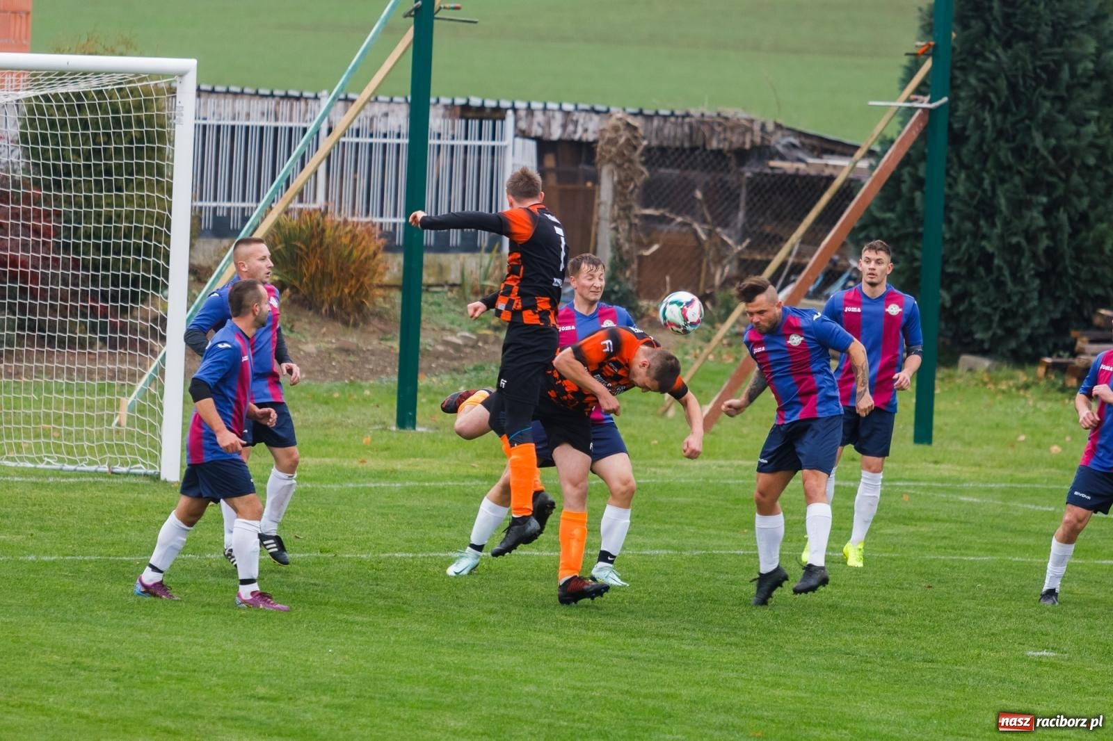 Zdjęcie w galerii na portalu naszraciborz.pl: Bez niespodzianki w Pietraszynie. Kobyla na kolanach [FOTO] wiadomości z regionu