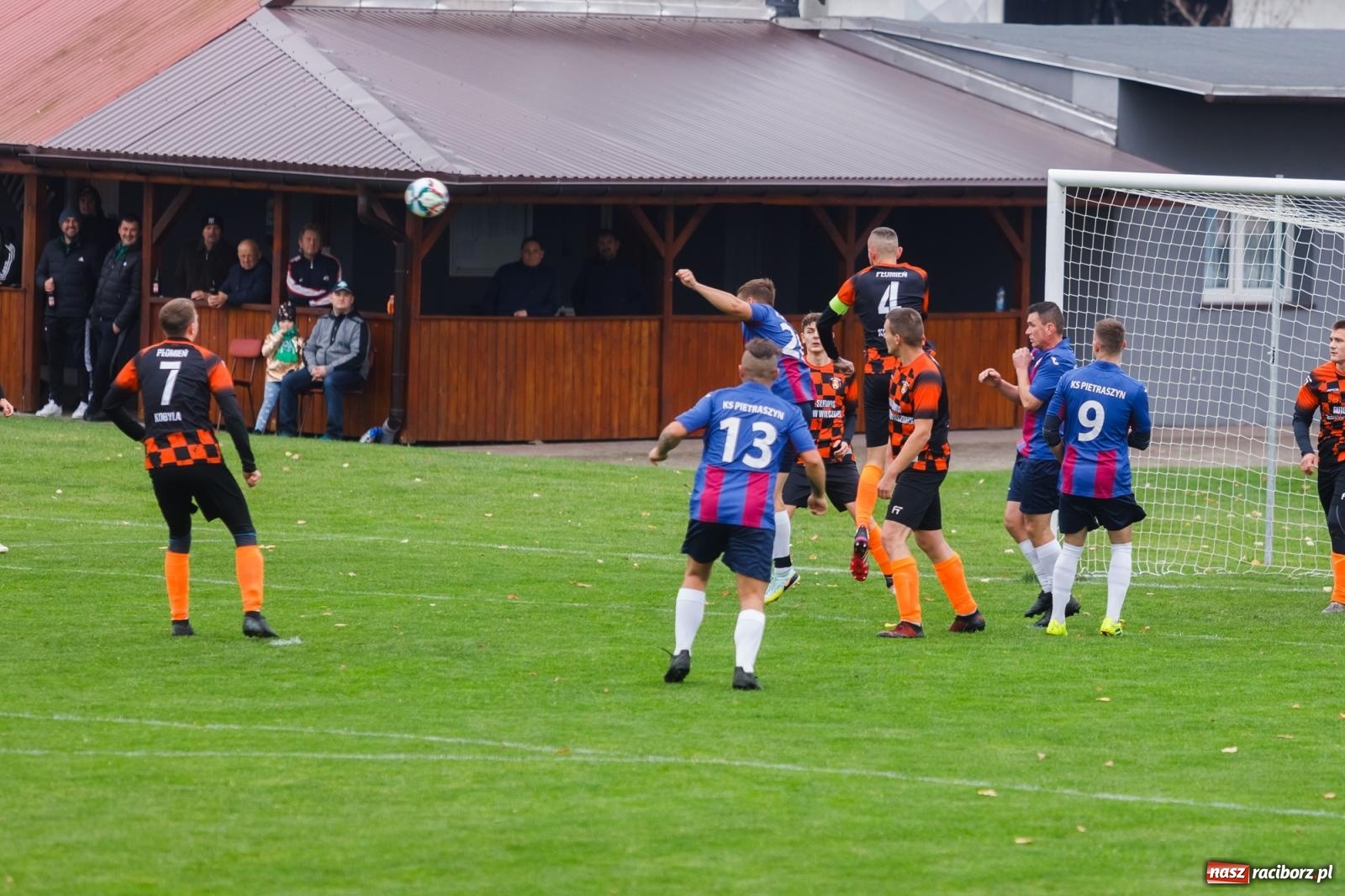 Zdjęcie w galerii na portalu naszraciborz.pl: Bez niespodzianki w Pietraszynie. Kobyla na kolanach [FOTO] wiadomości z regionu