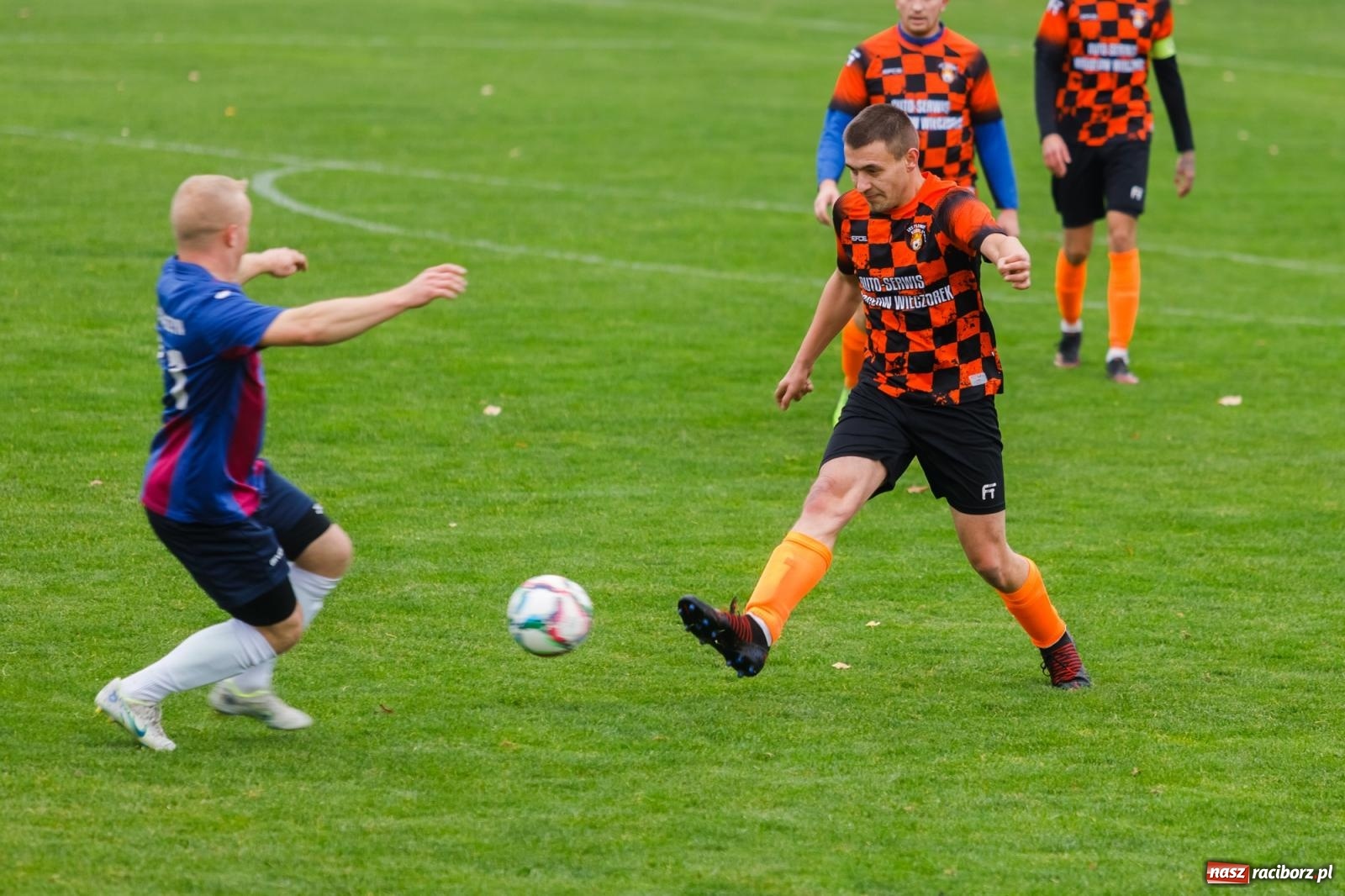 Zdjęcie w galerii na portalu naszraciborz.pl: Bez niespodzianki w Pietraszynie. Kobyla na kolanach [FOTO] wiadomości z regionu