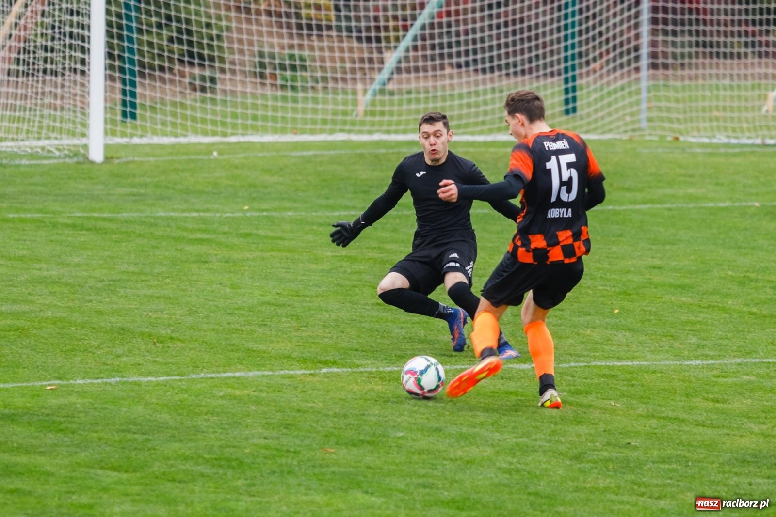 Zdjęcie w galerii na portalu naszraciborz.pl: Bez niespodzianki w Pietraszynie. Kobyla na kolanach [FOTO] wiadomości z regionu