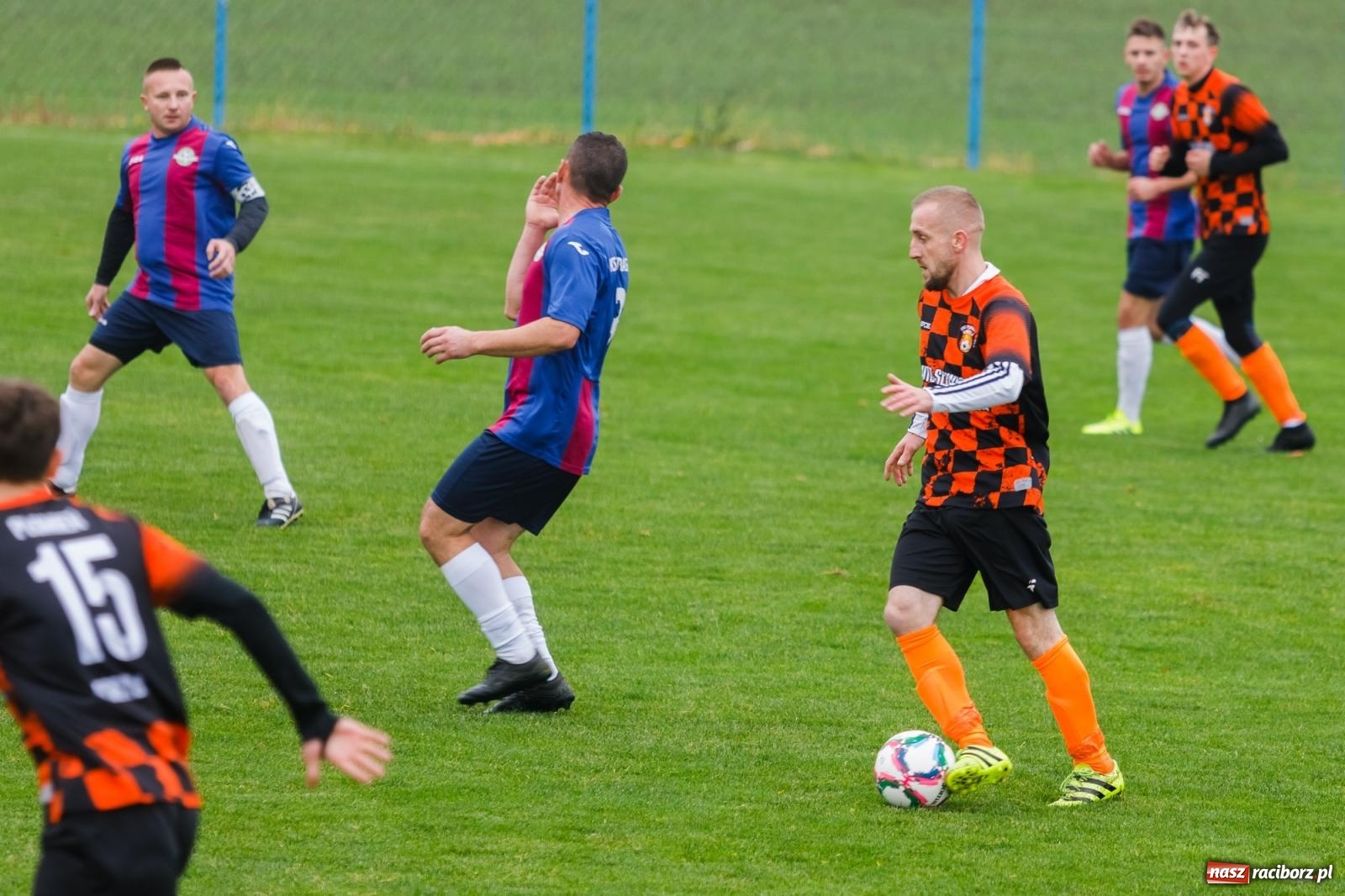 Zdjęcie w galerii na portalu naszraciborz.pl: Bez niespodzianki w Pietraszynie. Kobyla na kolanach [FOTO] wiadomości z regionu