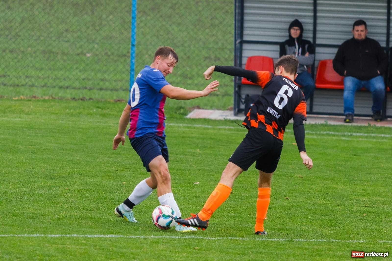 Zdjęcie w galerii na portalu naszraciborz.pl: Bez niespodzianki w Pietraszynie. Kobyla na kolanach [FOTO] wiadomości z regionu