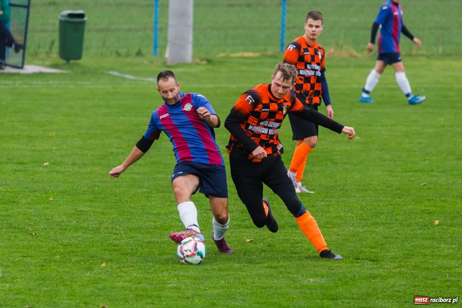 Zdjęcie w galerii na portalu naszraciborz.pl: Bez niespodzianki w Pietraszynie. Kobyla na kolanach [FOTO] wiadomości z regionu