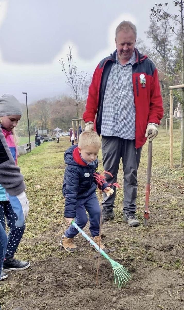 Zdjęcie w galerii na portalu naszraciborz.pl: Czyste, Zielone Miasta. Nad Odrą posadzono jarzębiny wiadomości z regionu