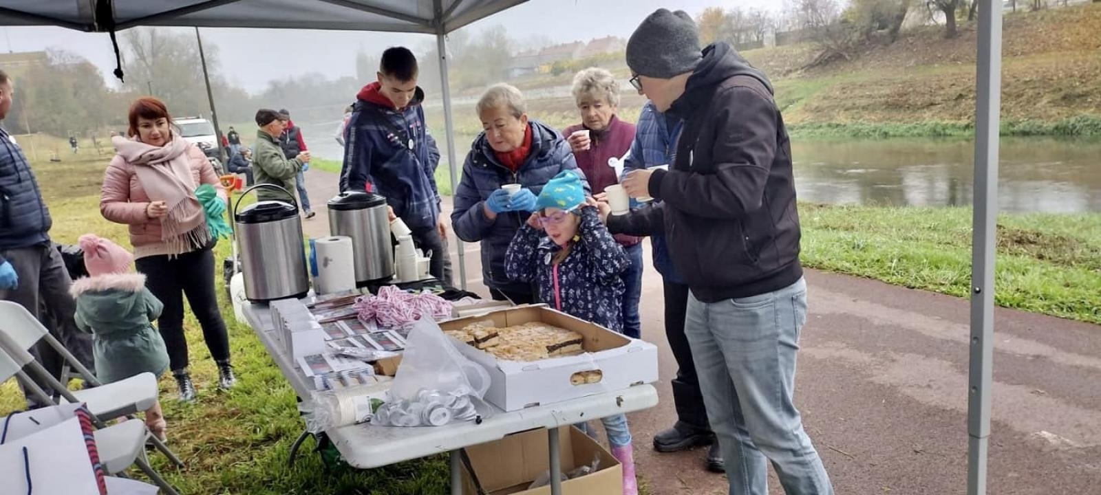 Zdjęcie w galerii na portalu naszraciborz.pl: Czyste, Zielone Miasta. Nad Odrą posadzono jarzębiny wiadomości z regionu