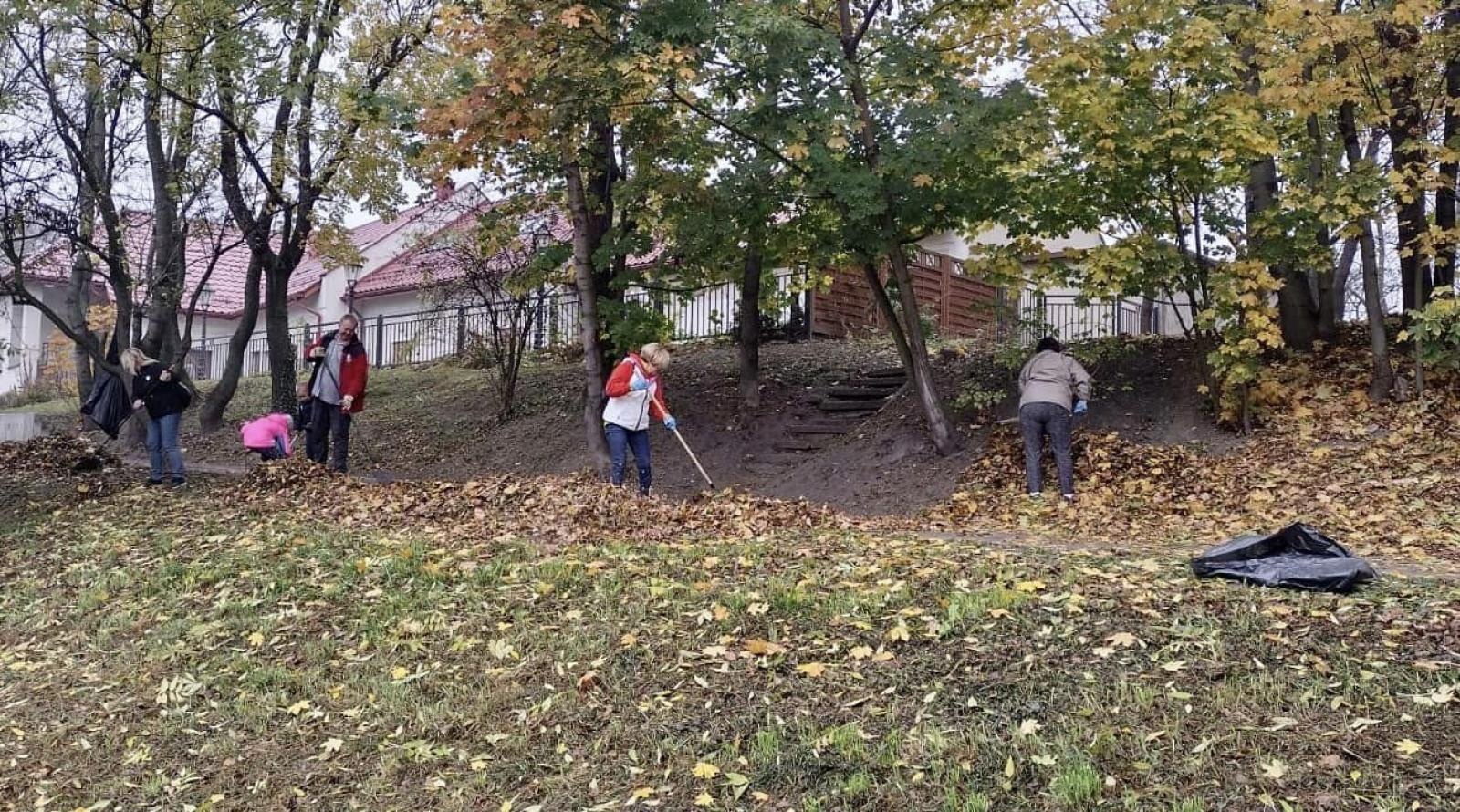Zdjęcie w galerii na portalu naszraciborz.pl: Czyste, Zielone Miasta. Nad Odrą posadzono jarzębiny wiadomości z regionu