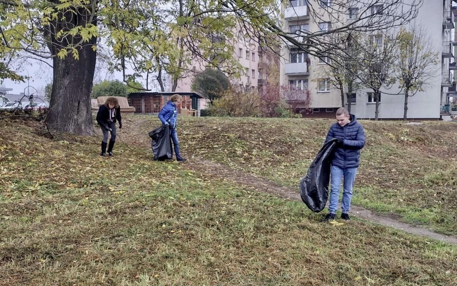 Zdjęcie w galerii na portalu naszraciborz.pl: Czyste, Zielone Miasta. Nad Odrą posadzono jarzębiny wiadomości z regionu