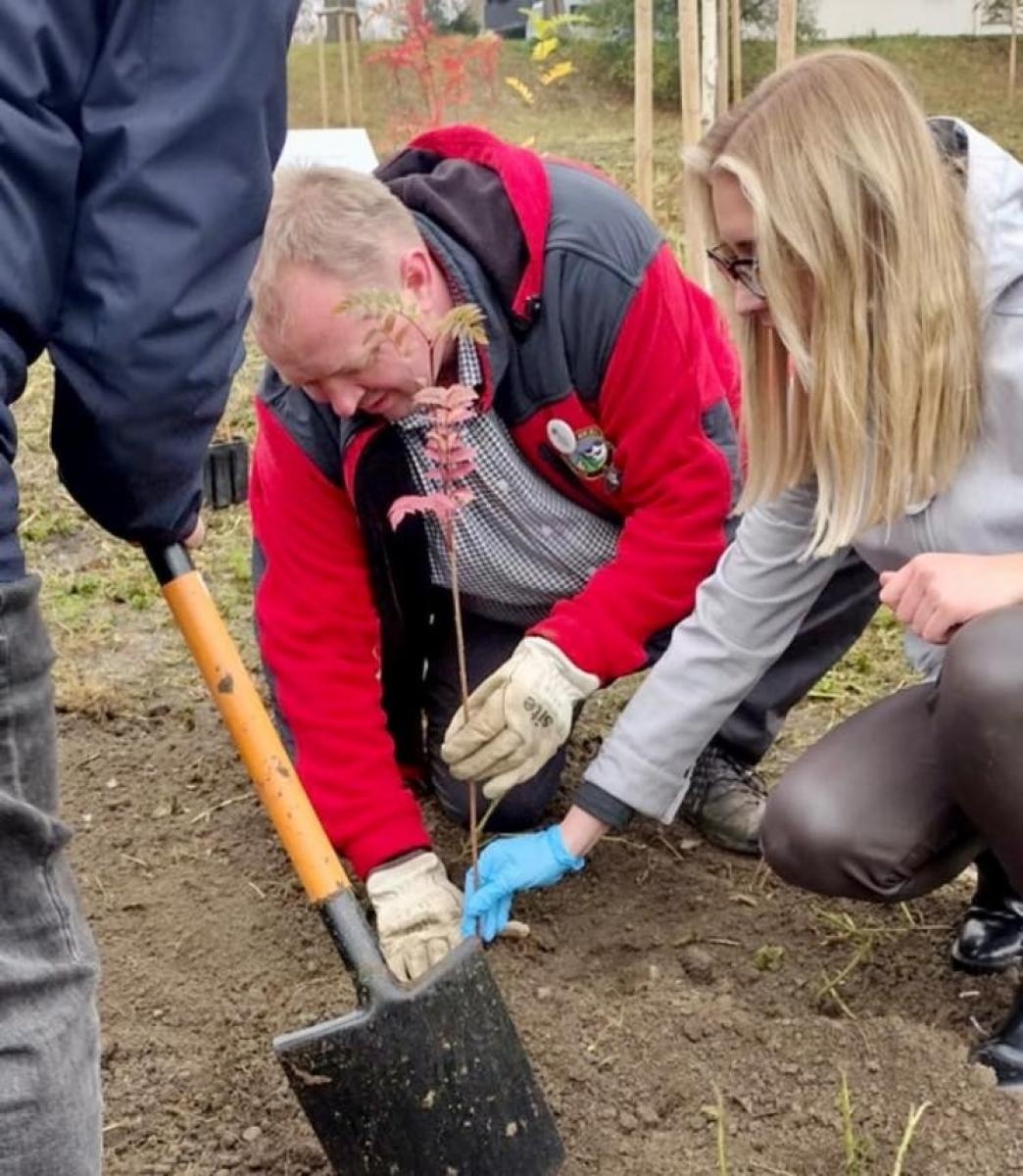 Zdjęcie w galerii na portalu naszraciborz.pl: Czyste, Zielone Miasta. Nad Odrą posadzono jarzębiny wiadomości z regionu