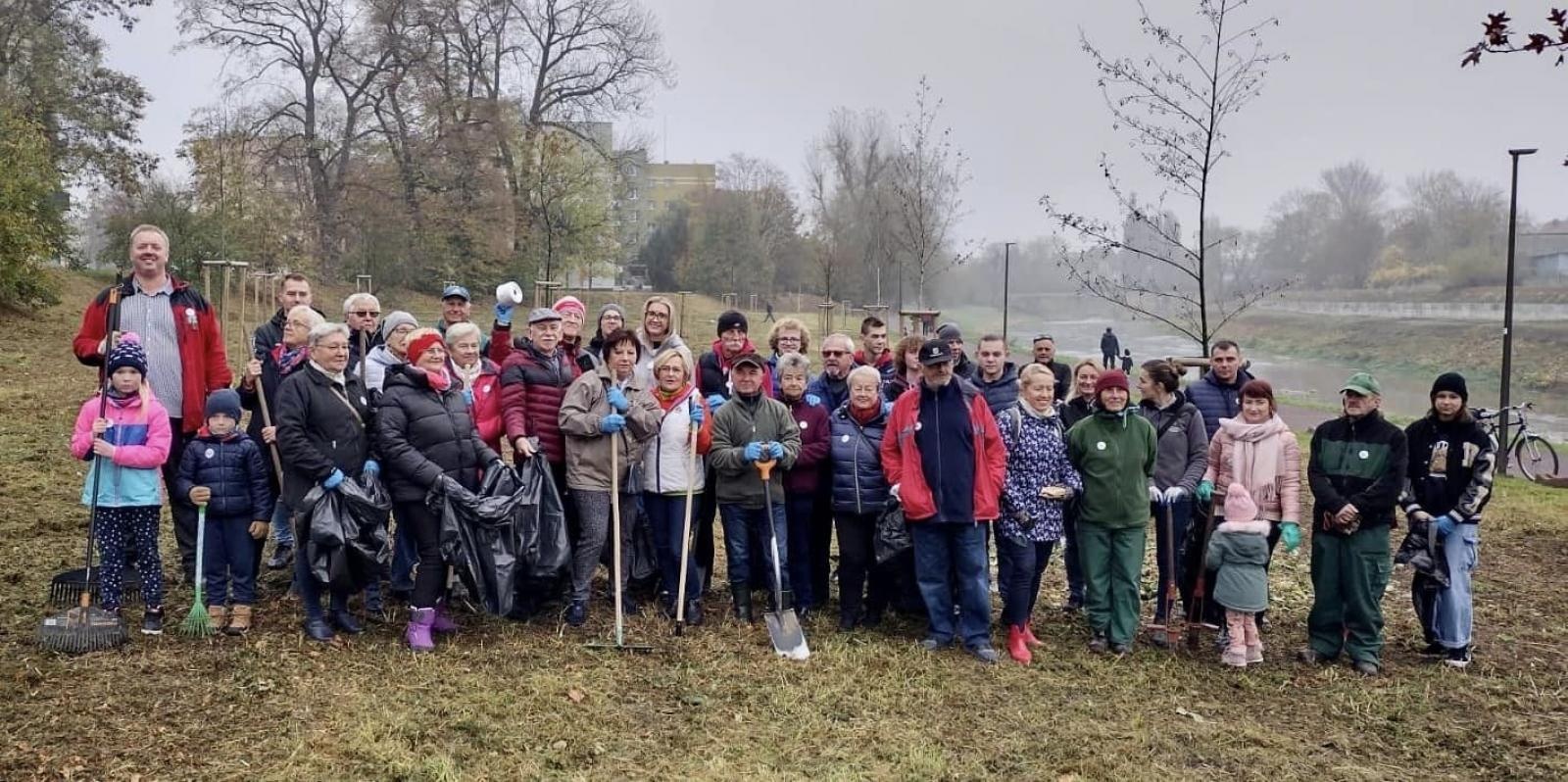 Zdjęcie w galerii na portalu naszraciborz.pl: Czyste, Zielone Miasta. Nad Odrą posadzono jarzębiny wiadomości z regionu