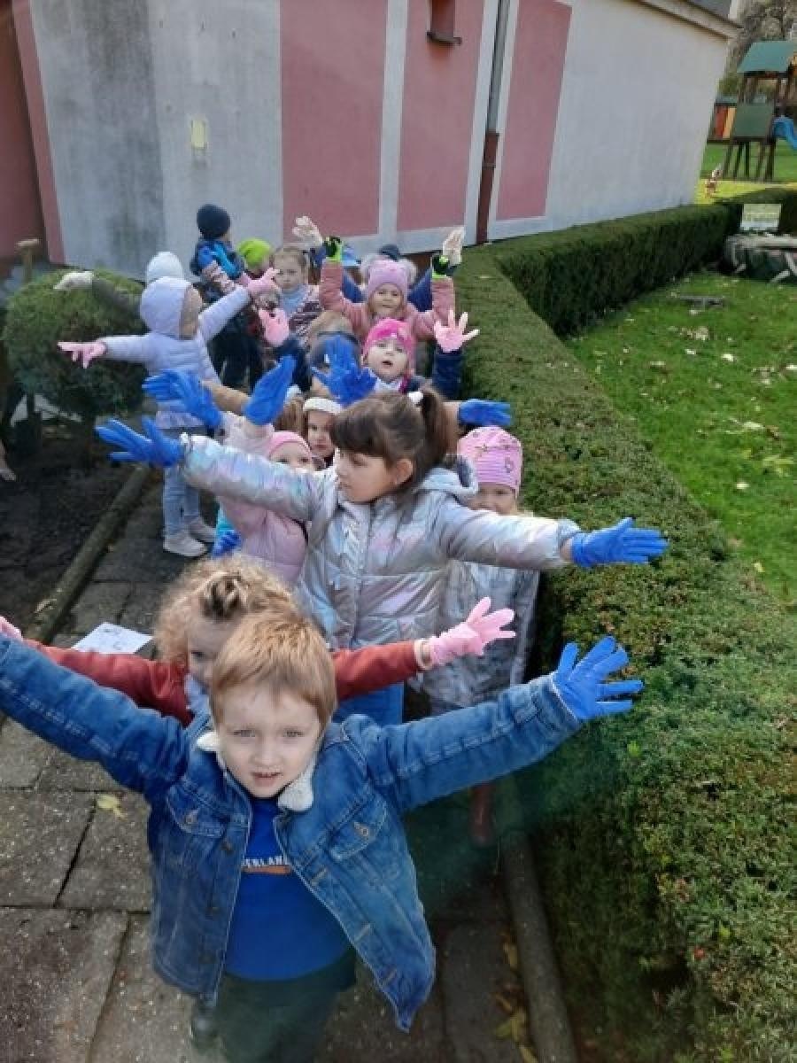 Zdjęcie w galerii na portalu naszraciborz.pl: Cebu-love kwiatki Agatki wiadomości z regionu