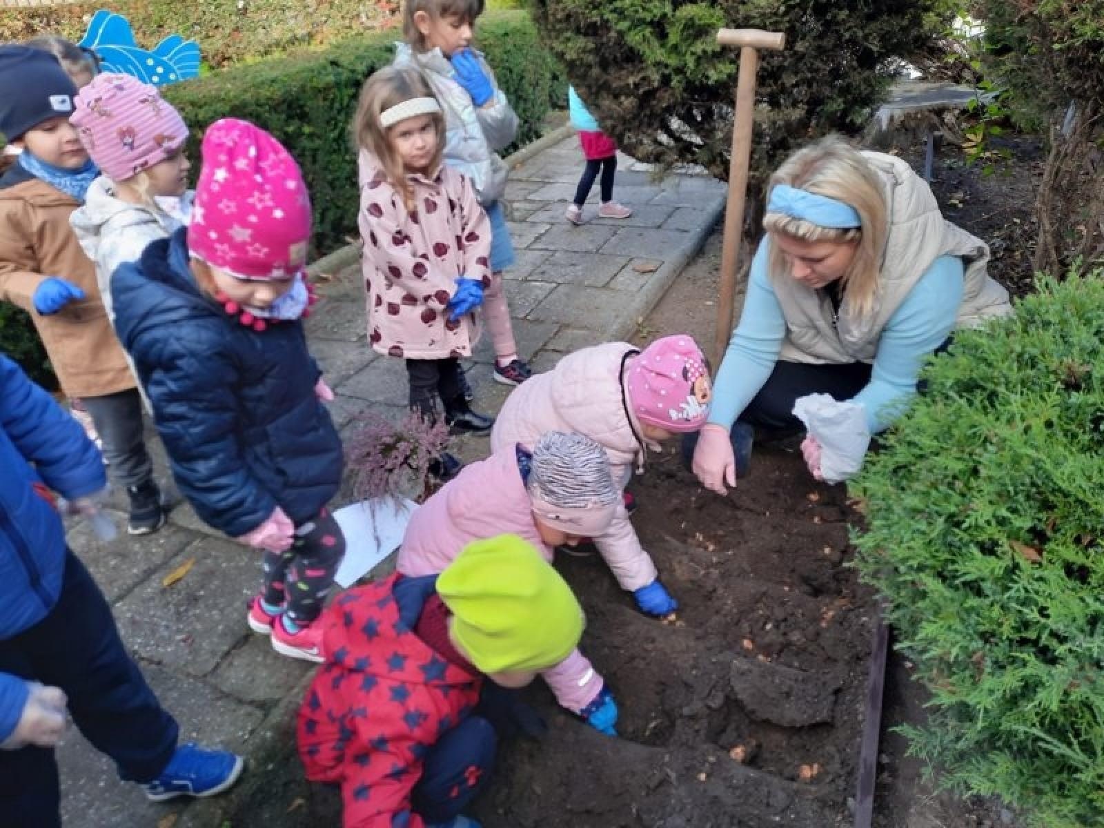 Zdjęcie w galerii na portalu naszraciborz.pl: Cebu-love kwiatki Agatki wiadomości z regionu