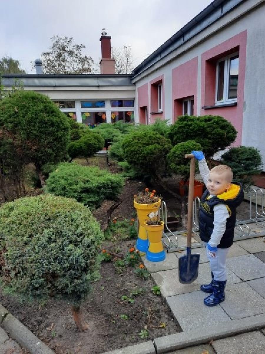 Zdjęcie w galerii na portalu naszraciborz.pl: Cebu-love kwiatki Agatki wiadomości z regionu