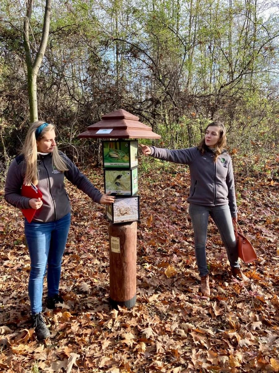 Zdjęcie w galerii na portalu naszraciborz.pl: Arboretum odnowiło ścieżkę edukacyjną wiadomości z regionu