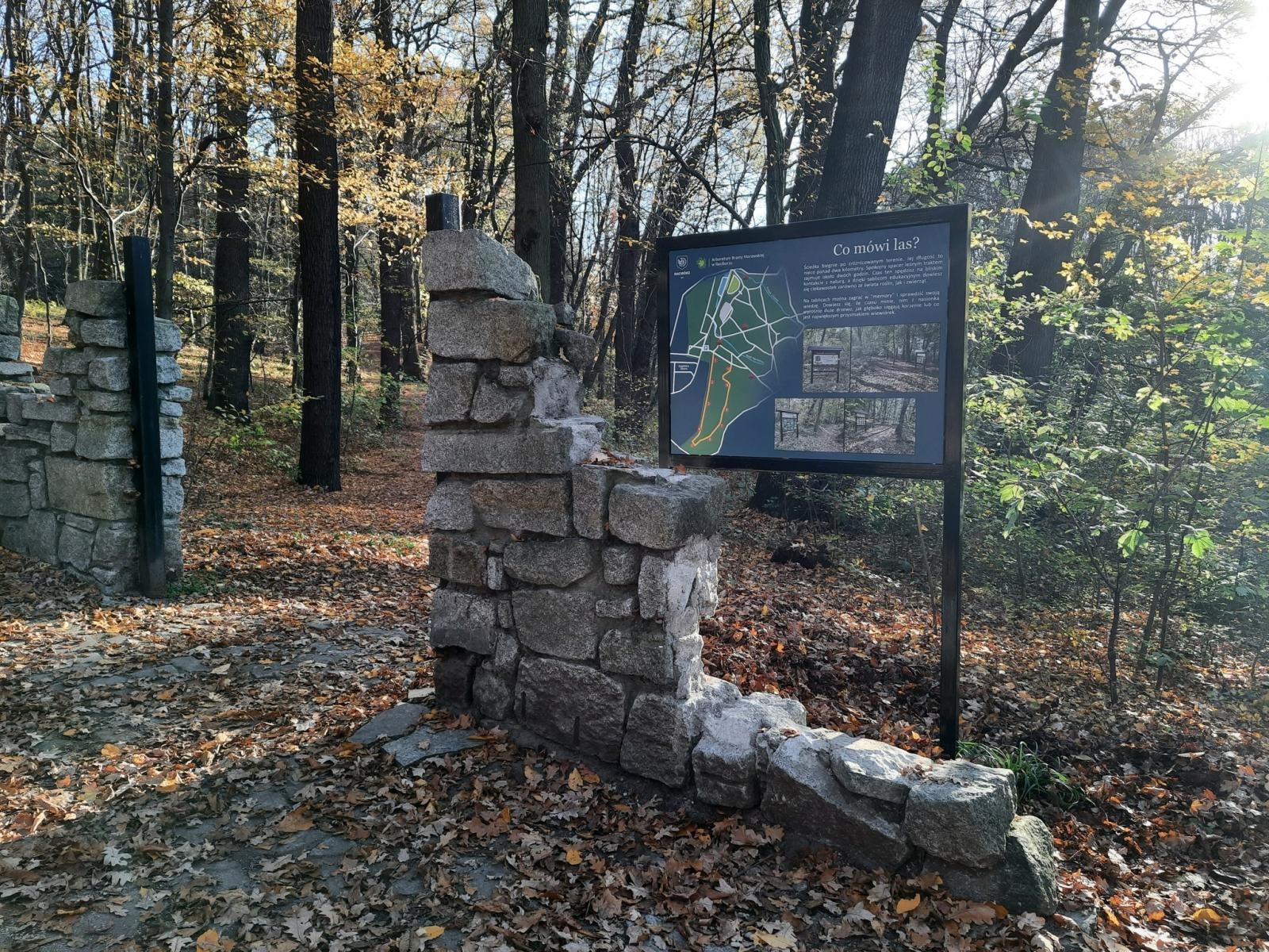 Zdjęcie w galerii na portalu naszraciborz.pl: Arboretum odnowiło ścieżkę edukacyjną wiadomości z regionu