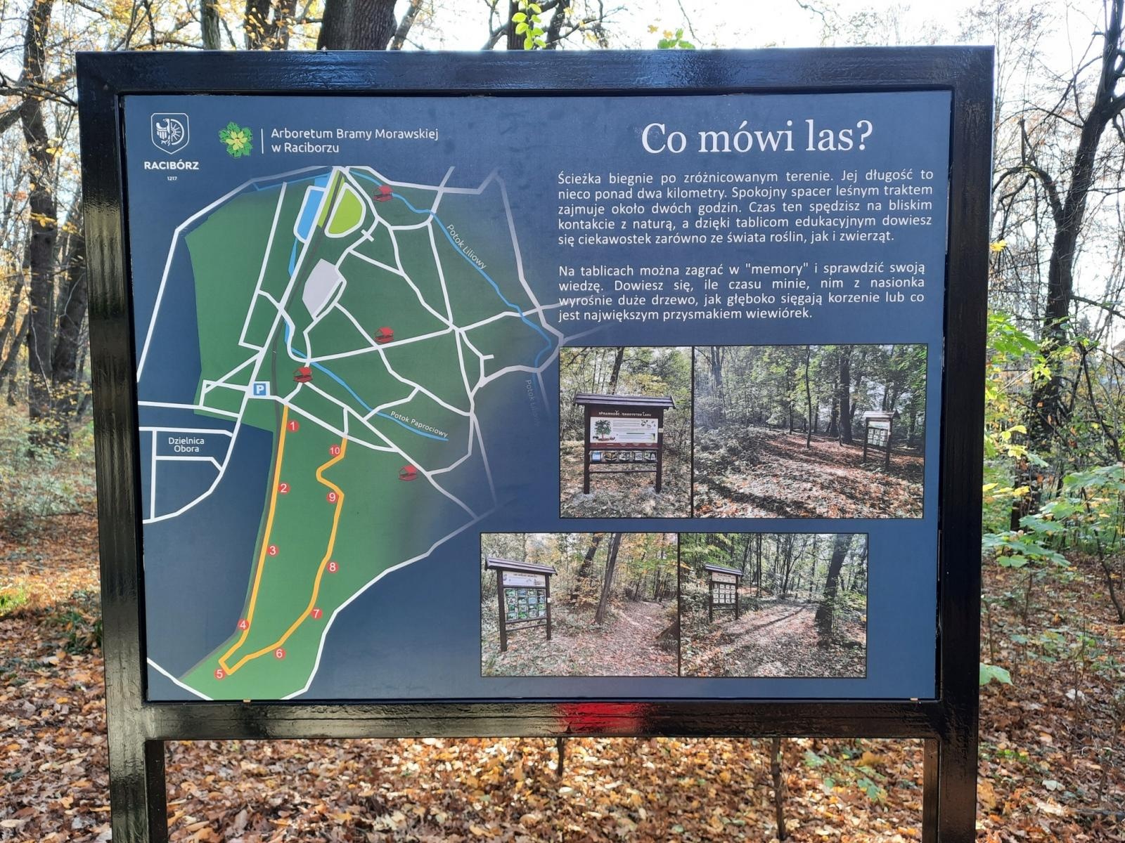 Zdjęcie w galerii na portalu naszraciborz.pl: Arboretum odnowiło ścieżkę edukacyjną wiadomości z regionu