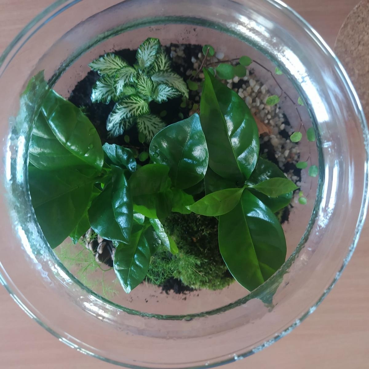 Zdjęcie w galerii na portalu naszraciborz.pl: Z ziemi cypryjskiej do Polski – nauczycielskie inspiracje po szkoleniu job shadowing wiadomości z regionu