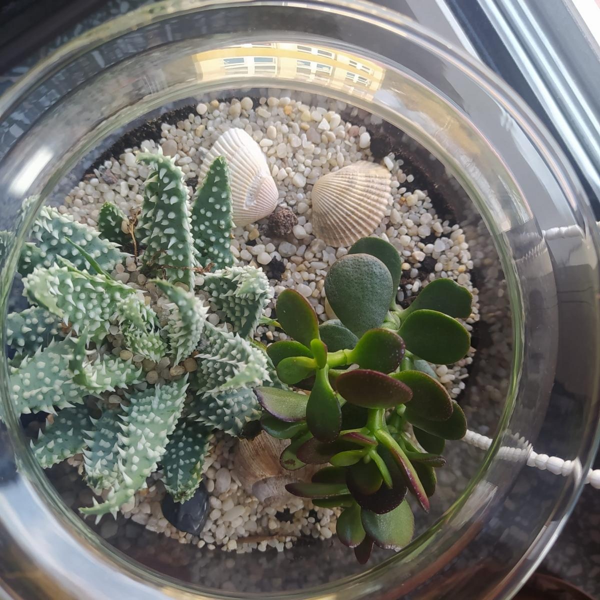 Zdjęcie w galerii na portalu naszraciborz.pl: Z ziemi cypryjskiej do Polski – nauczycielskie inspiracje po szkoleniu job shadowing wiadomości z regionu