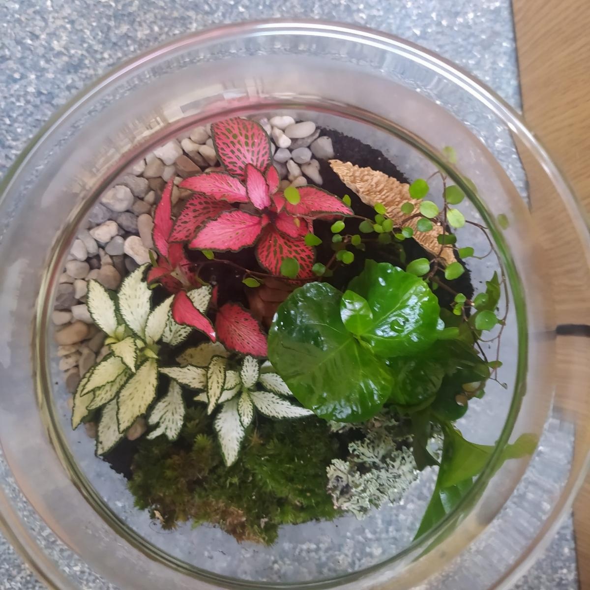 Zdjęcie w galerii na portalu naszraciborz.pl: Z ziemi cypryjskiej do Polski – nauczycielskie inspiracje po szkoleniu job shadowing wiadomości z regionu