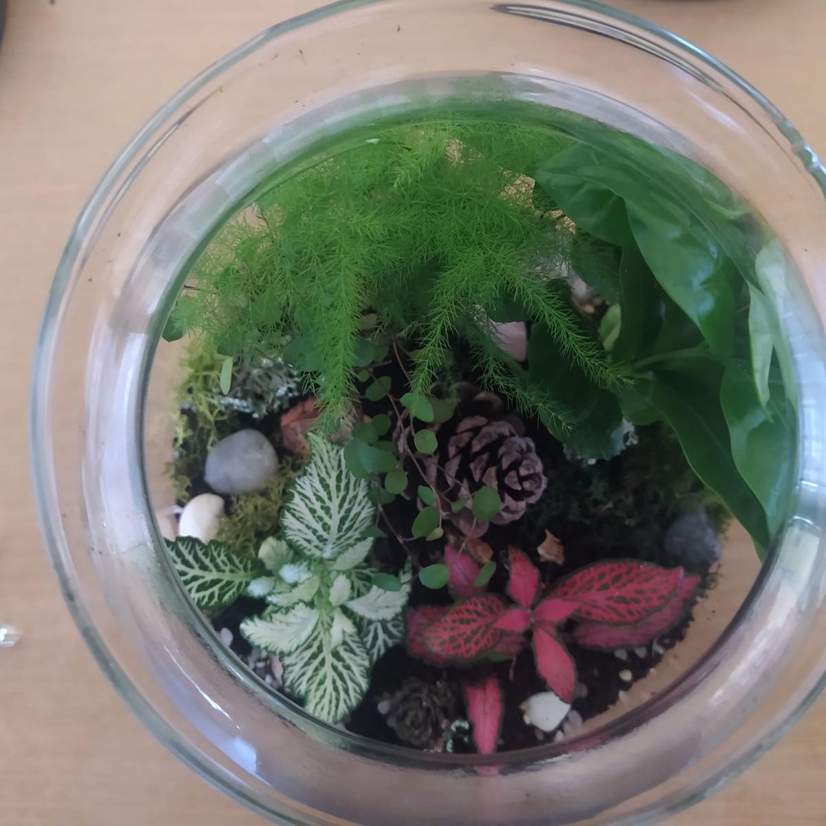 Zdjęcie w galerii na portalu naszraciborz.pl: Z ziemi cypryjskiej do Polski – nauczycielskie inspiracje po szkoleniu job shadowing wiadomości z regionu