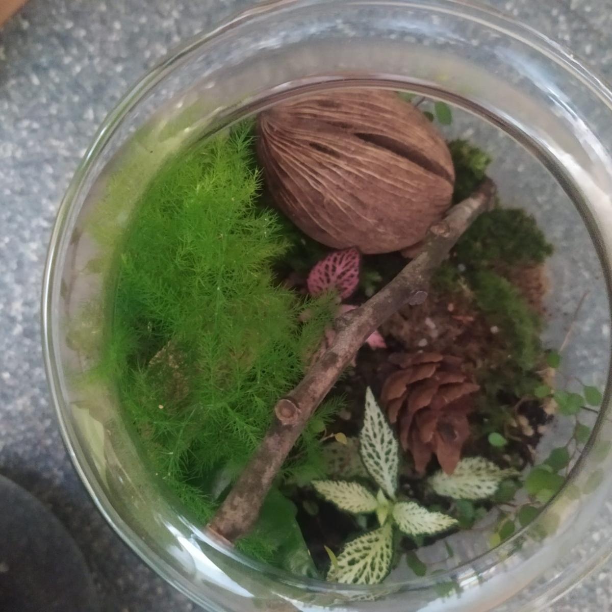 Zdjęcie w galerii na portalu naszraciborz.pl: Z ziemi cypryjskiej do Polski – nauczycielskie inspiracje po szkoleniu job shadowing wiadomości z regionu