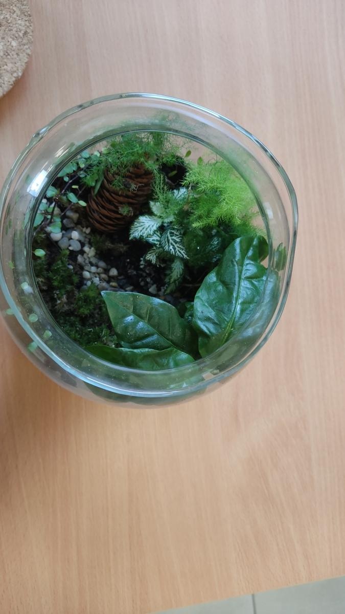 Zdjęcie w galerii na portalu naszraciborz.pl: Z ziemi cypryjskiej do Polski – nauczycielskie inspiracje po szkoleniu job shadowing wiadomości z regionu