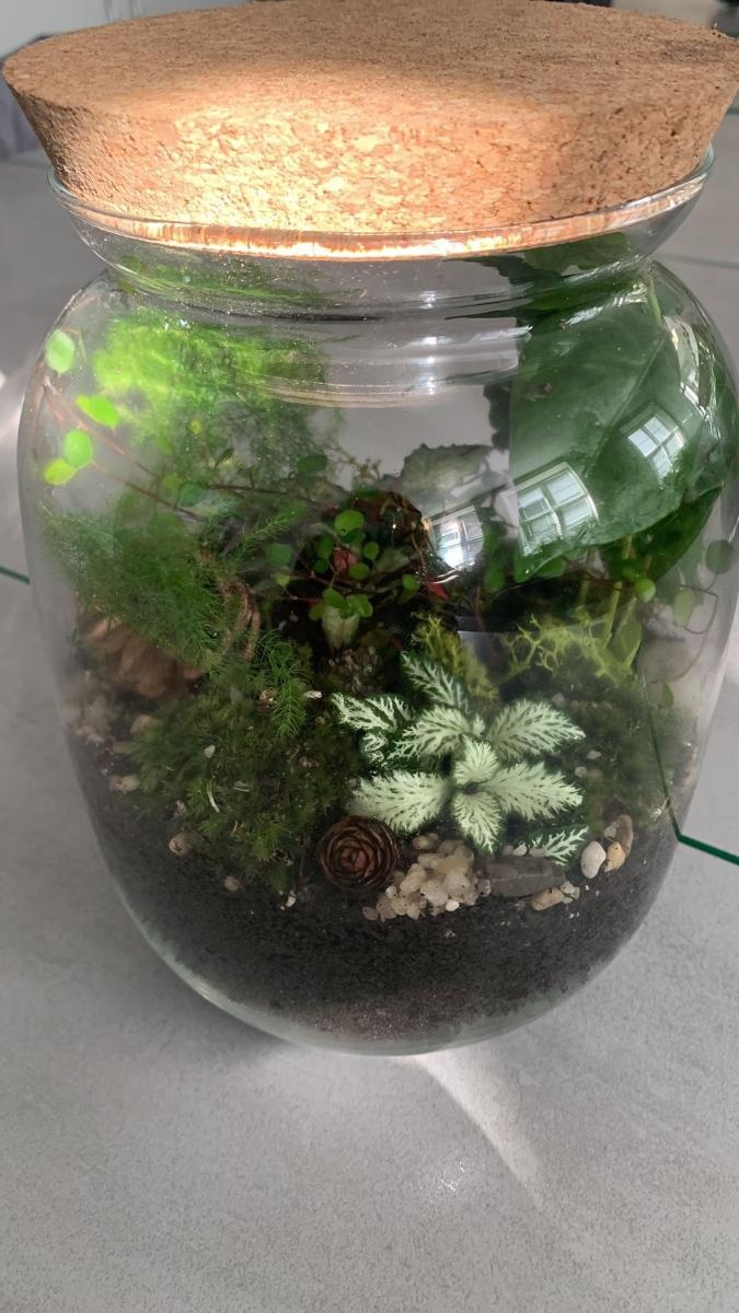 Zdjęcie w galerii na portalu naszraciborz.pl: Z ziemi cypryjskiej do Polski – nauczycielskie inspiracje po szkoleniu job shadowing wiadomości z regionu