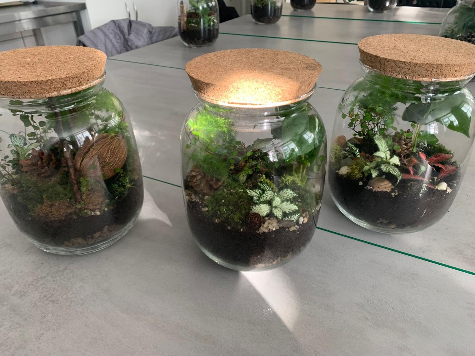 Zdjęcie w galerii na portalu naszraciborz.pl: Z ziemi cypryjskiej do Polski – nauczycielskie inspiracje po szkoleniu job shadowing wiadomości z regionu