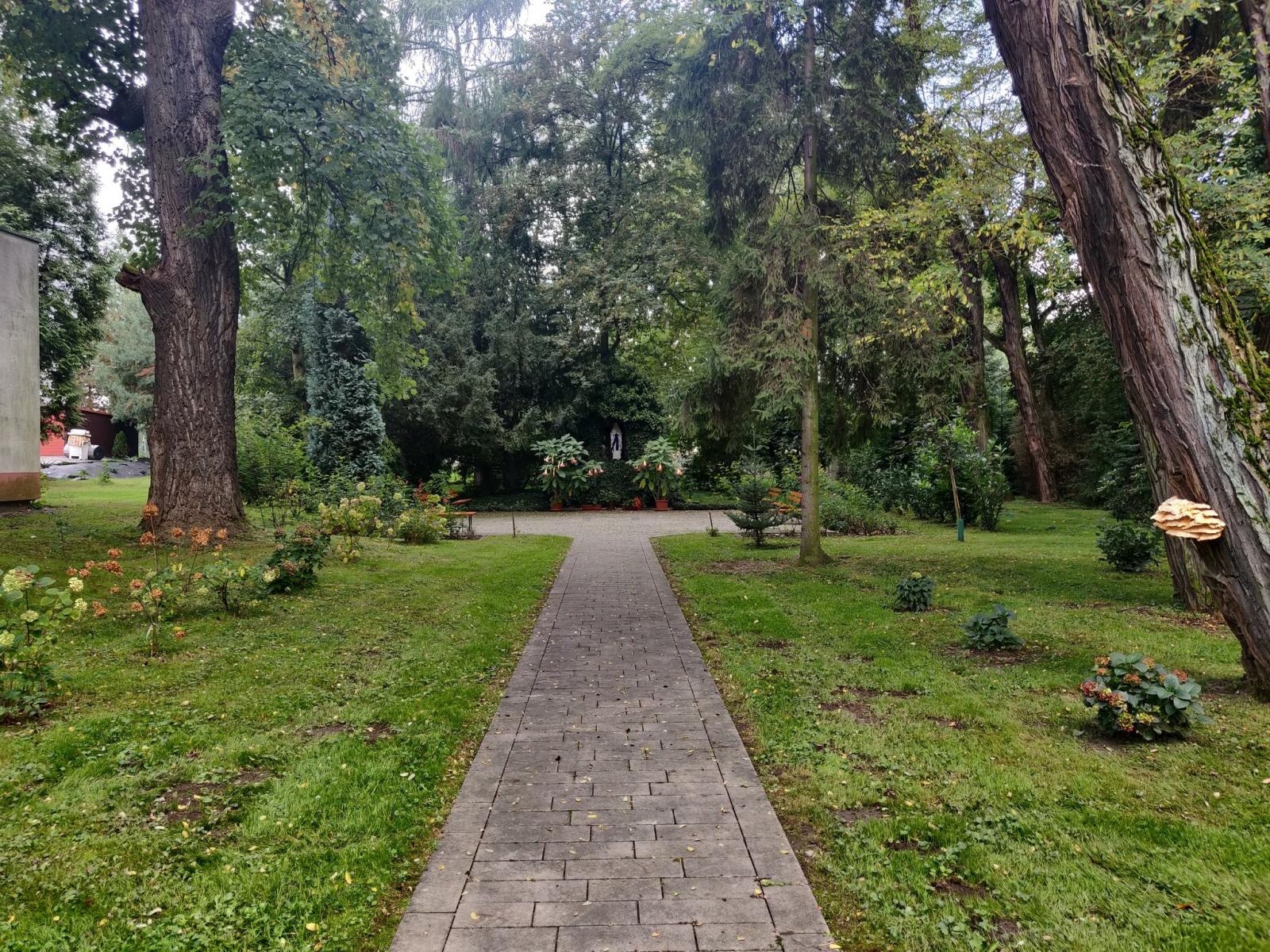 Zdjęcie w galerii na portalu naszraciborz.pl: Park w Krzyżanowicach wpisany do rejestru zabytków wiadomości z regionu