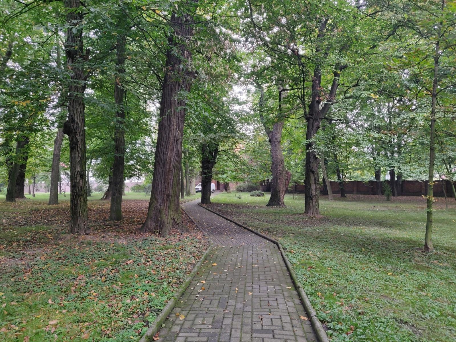 Zdjęcie w galerii na portalu naszraciborz.pl: Park w Krzyżanowicach wpisany do rejestru zabytków wiadomości z regionu