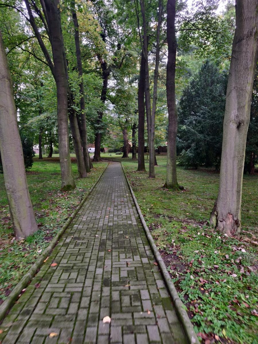 Zdjęcie w galerii na portalu naszraciborz.pl: Park w Krzyżanowicach wpisany do rejestru zabytków wiadomości z regionu