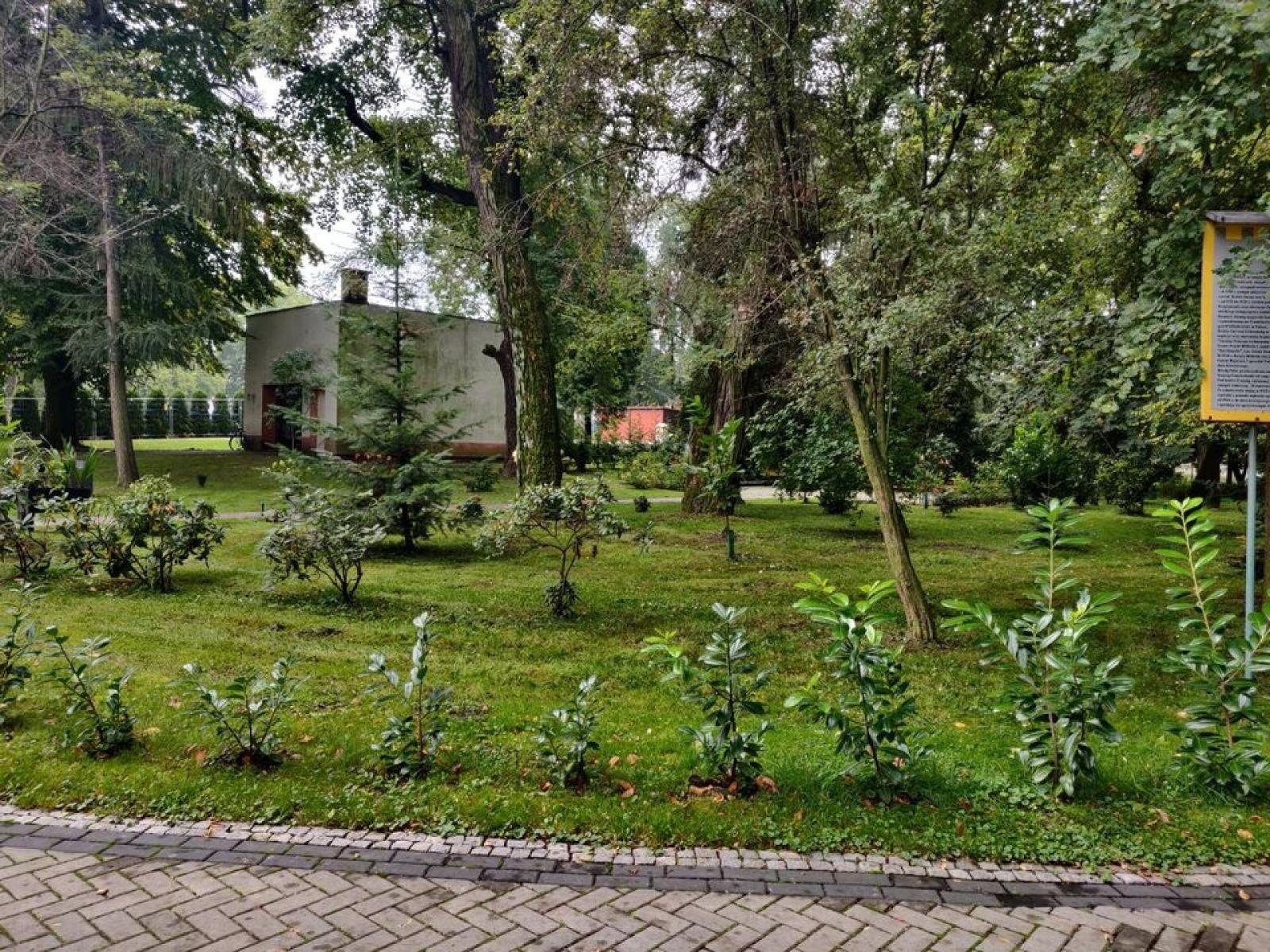 Zdjęcie w galerii na portalu naszraciborz.pl: Park w Krzyżanowicach wpisany do rejestru zabytków wiadomości z regionu