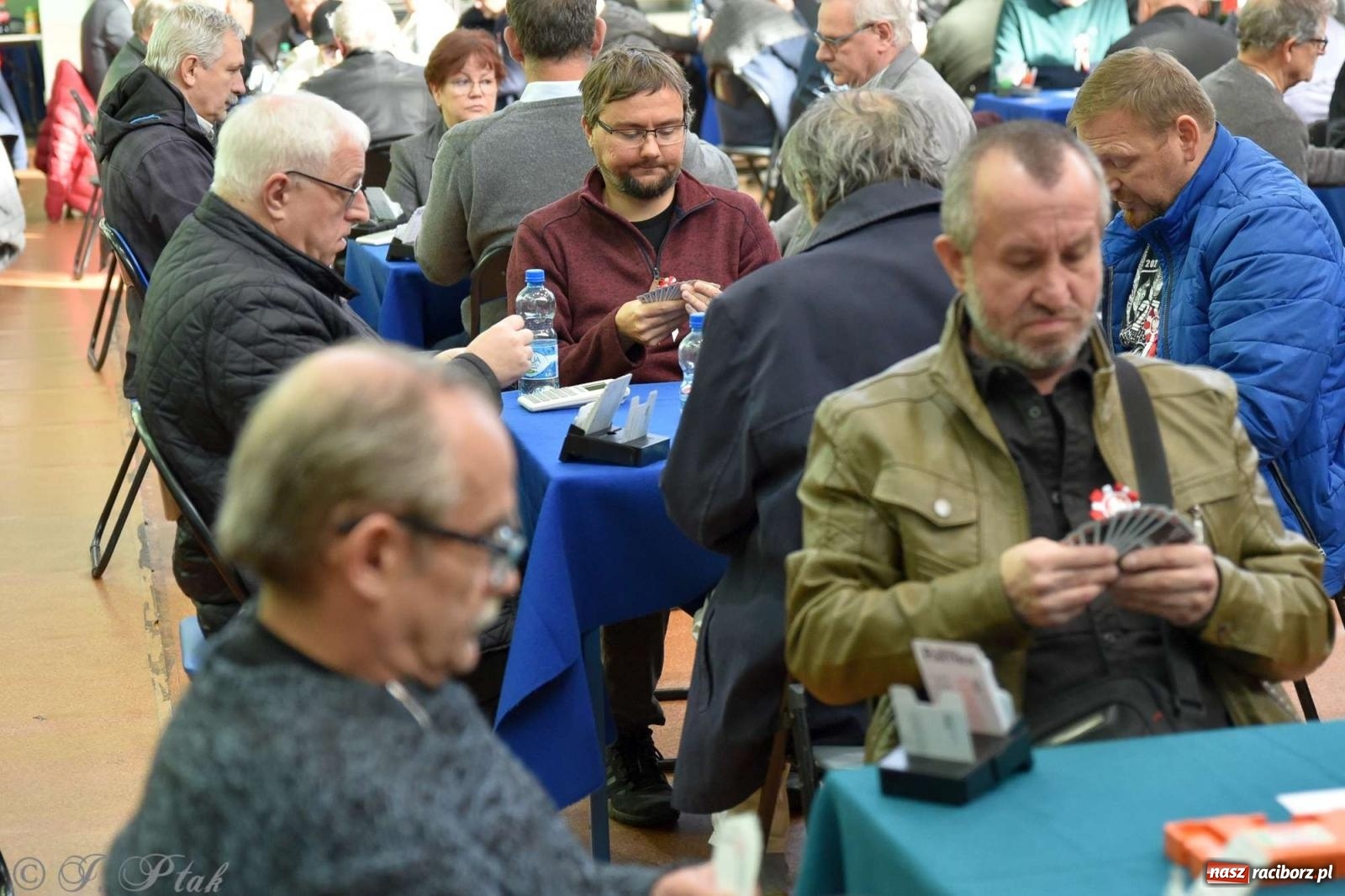 Zdjęcie w galerii na portalu naszraciborz.pl: Raciborscy brydżyści mogli się zmierzyć z najlepszymi [FOTO i WIDEO] wiadomości z regionu