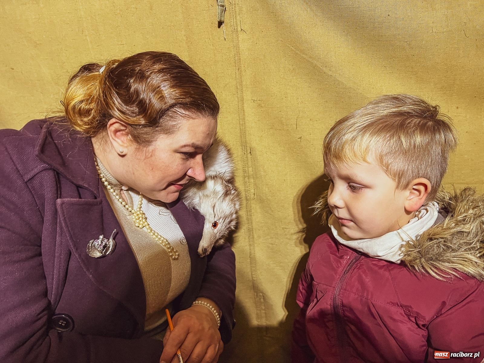 Zdjęcie w galerii na portalu naszraciborz.pl: Klimat jak z czasów legionów. Świąteczny piknik na raciborskim Rynku [FOTO i WIDEO] wiadomości z regionu