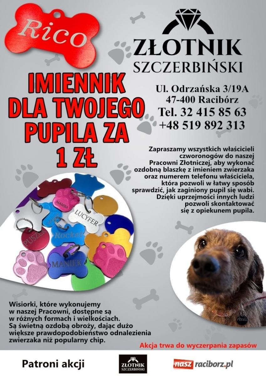 Zdjęcie w galerii na portalu naszraciborz.pl: Wyjątkowa akcja w pracowni złotniczej Pawła Szczerbińskiego wiadomości z regionu