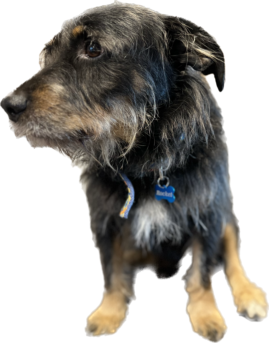 Zdjęcie w galerii na portalu naszraciborz.pl: Wyjątkowa akcja w pracowni złotniczej Pawła Szczerbińskiego wiadomości z regionu