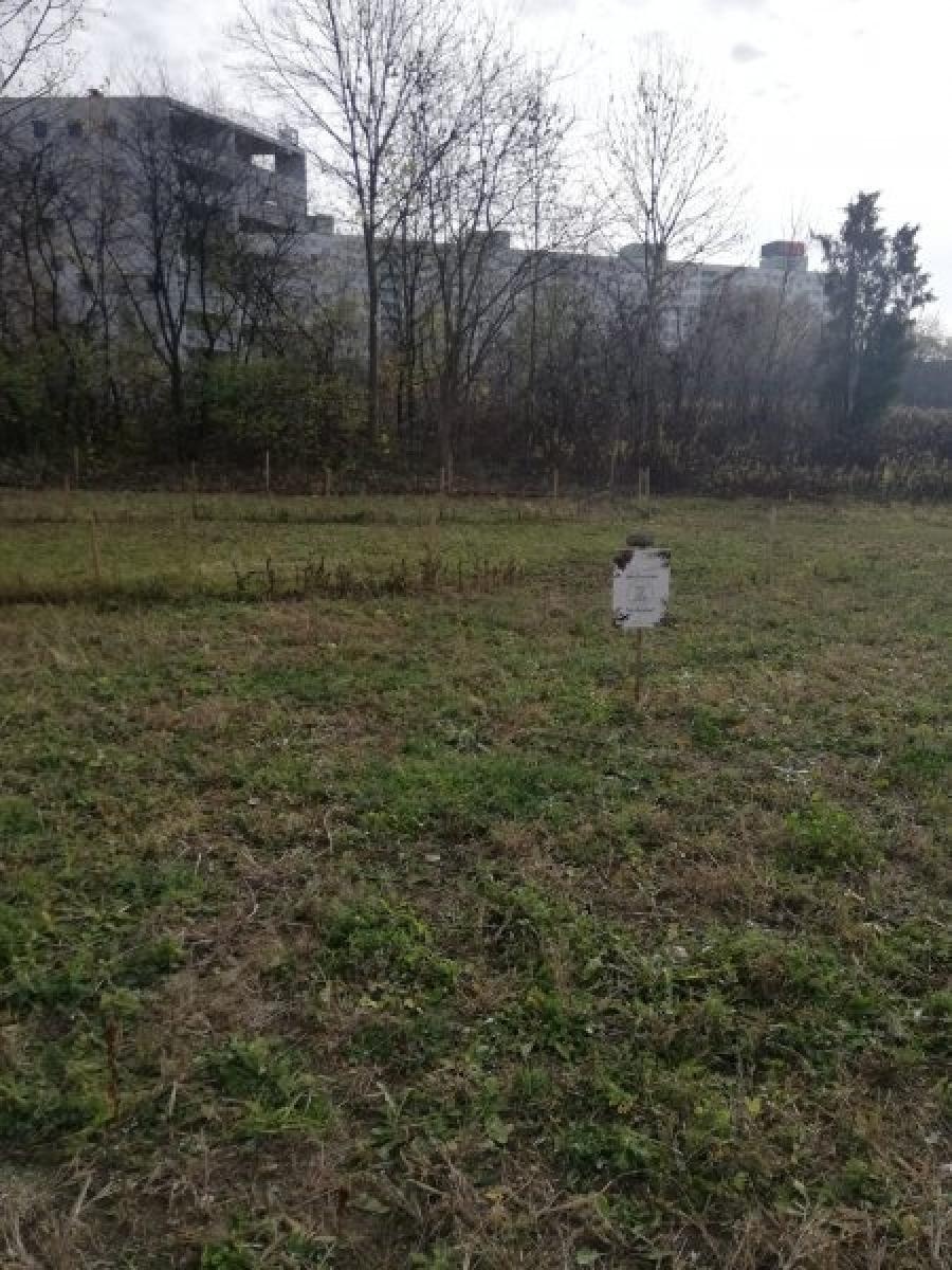 Zdjęcie w galerii na portalu naszraciborz.pl: Racibórz w Sieci Miast Zielonych. Spotkanie w Poznaniu wiadomości z regionu