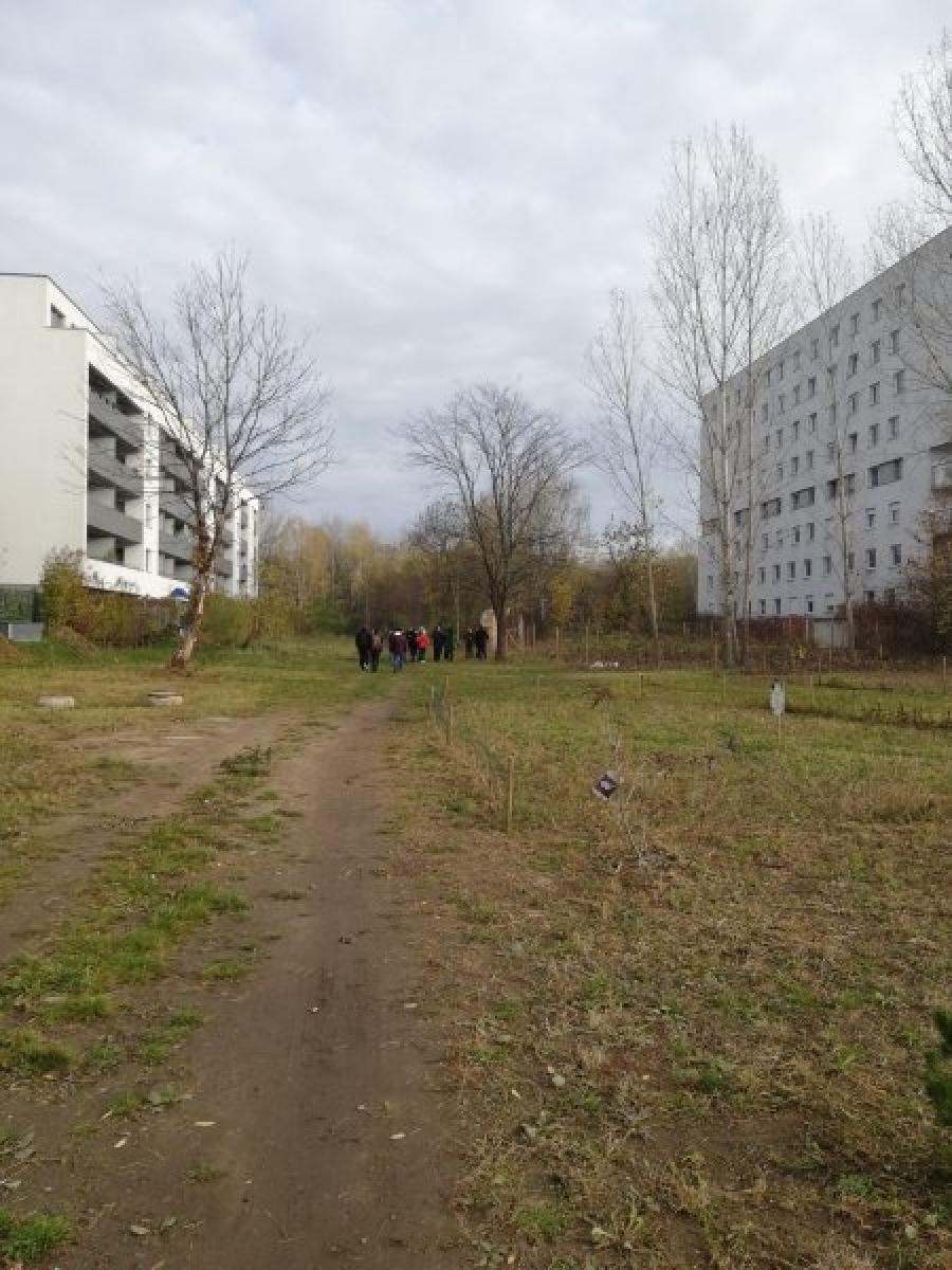 Zdjęcie w galerii na portalu naszraciborz.pl: Racibórz w Sieci Miast Zielonych. Spotkanie w Poznaniu wiadomości z regionu