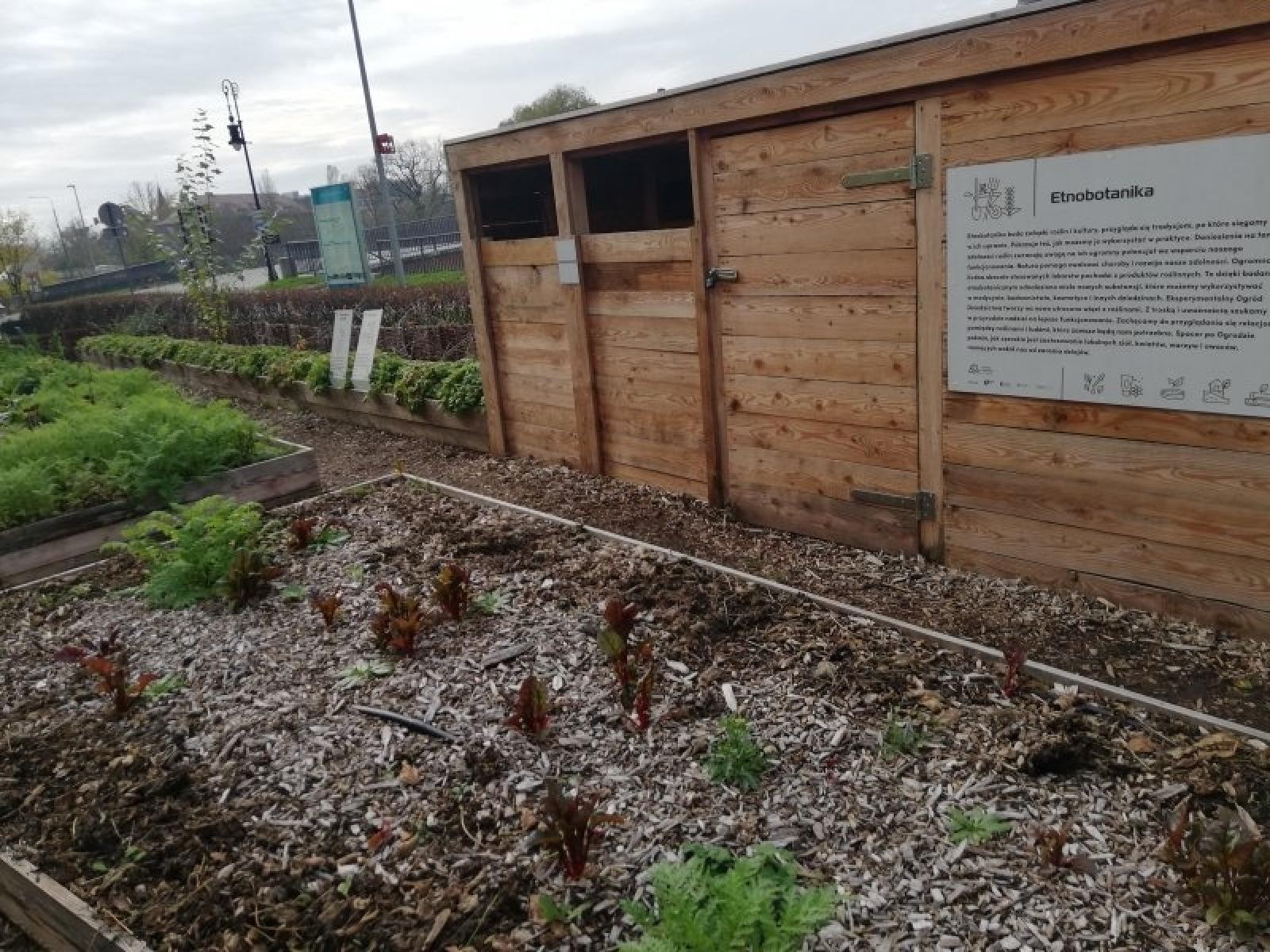 Zdjęcie w galerii na portalu naszraciborz.pl: Racibórz w Sieci Miast Zielonych. Spotkanie w Poznaniu wiadomości z regionu