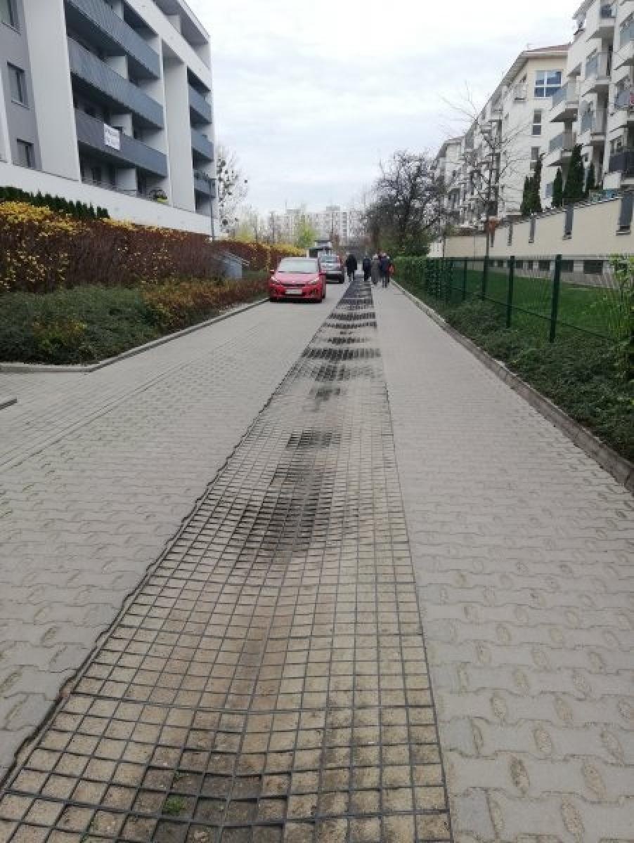 Zdjęcie w galerii na portalu naszraciborz.pl: Racibórz w Sieci Miast Zielonych. Spotkanie w Poznaniu wiadomości z regionu