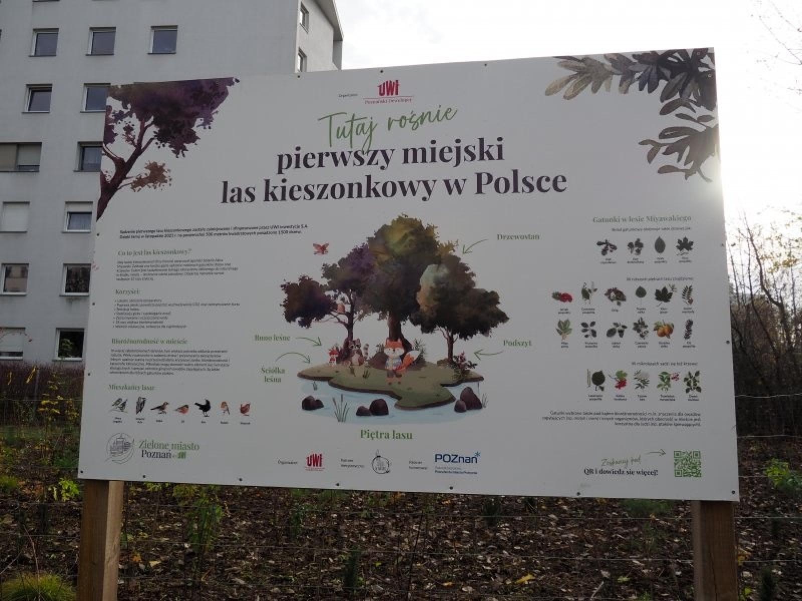 Zdjęcie w galerii na portalu naszraciborz.pl: Racibórz w Sieci Miast Zielonych. Spotkanie w Poznaniu wiadomości z regionu
