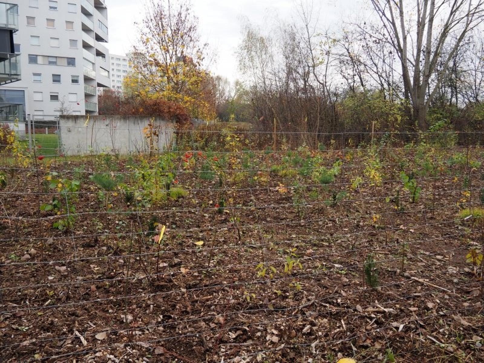 Zdjęcie w galerii na portalu naszraciborz.pl: Racibórz w Sieci Miast Zielonych. Spotkanie w Poznaniu wiadomości z regionu