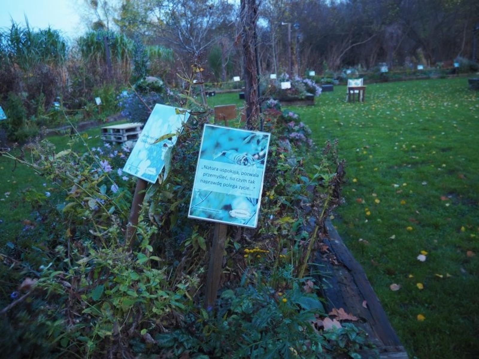 Zdjęcie w galerii na portalu naszraciborz.pl: Racibórz w Sieci Miast Zielonych. Spotkanie w Poznaniu wiadomości z regionu
