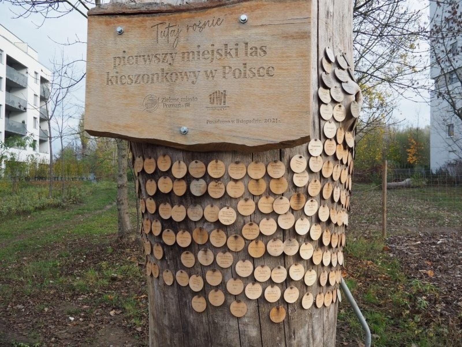 Zdjęcie w galerii na portalu naszraciborz.pl: Racibórz w Sieci Miast Zielonych. Spotkanie w Poznaniu wiadomości z regionu