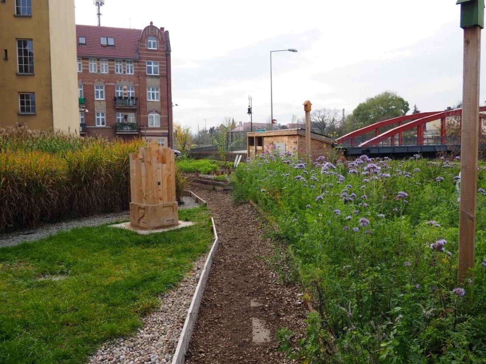 Zdjęcie w galerii na portalu naszraciborz.pl: Racibórz w Sieci Miast Zielonych. Spotkanie w Poznaniu wiadomości z regionu