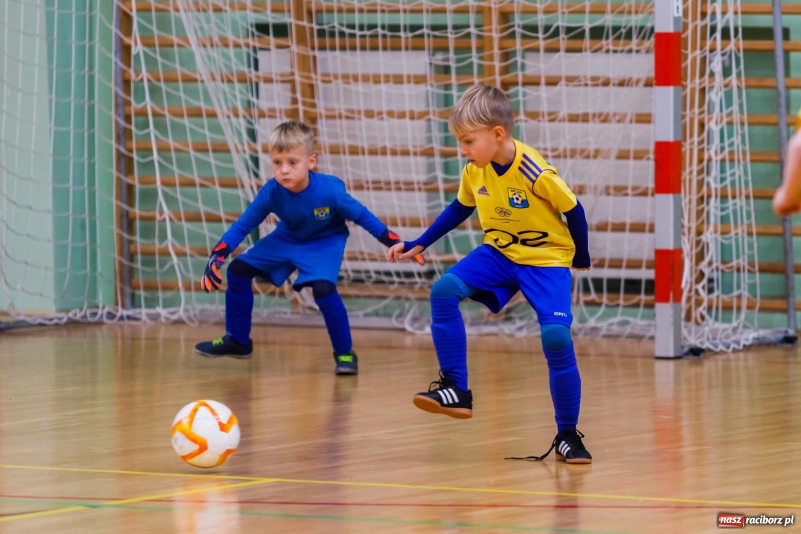 Zdjęcie w galerii na portalu naszraciborz.pl: Piłkarskie zmagania w hali przy Łąkowej. Turniej rocznika 2015 [FOTO] wiadomości z regionu