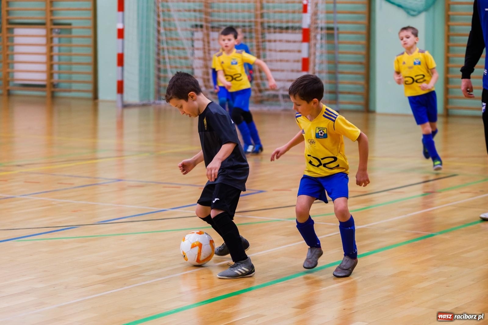 Zdjęcie w galerii na portalu naszraciborz.pl: Piłkarskie zmagania w hali przy Łąkowej. Turniej rocznika 2015 [FOTO] wiadomości z regionu